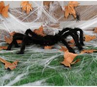 Guirca - Araignée 70 cm - GU 26089 - Insectes et Animaux