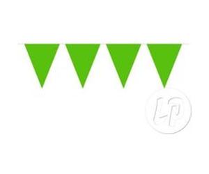 guirlande 15 fanions uni vert 10m vert G