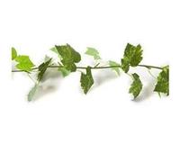 guirlande artificielle feuilles vigne 1.4m vert - hobi fgu4003 Vert G