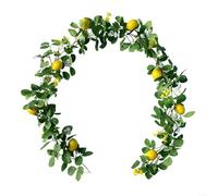 Guirlande de citrons artificiels en rotin artificiel, fausses vignes suspendues, vigne de citron artificielle avec feuilles d'eucalyptus et citrons (style 2 : 2 m)