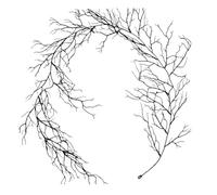 Guirlande d'Halloween 1,88 m - Style gothique - Branches artificielles pliables