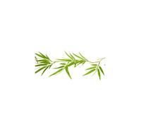 GUIRLANDE FEUILLES BAMBOU ARTIFICIELLES 1.2M VERT