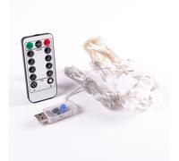 Guirlande LED d'intérieur 3x1 mètres HO-XMAS-001-IP20-3x1M-B