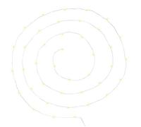 Guirlande Lumineuse ""40 Led Blanc Chaud"" 395cm Chrome