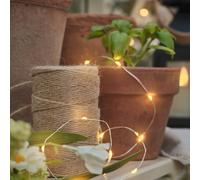 Guirlande Lumineuse Argentée 50 Micro LED Blanc Chaud