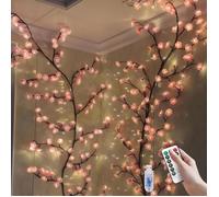 Guirlande Lumineuse Led en Forme De Fleur de Pêcher, Équipée de 48 Perles Led, 8 Modes D'Éclairage (160 Cm - Blanc)