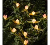 Guirlande Lumineuse Micro LED d'Extérieur à 20 Roses Miniatures