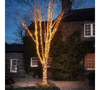 Guirlande Lumineuse Pro Connect IP67, 80m 800 LED Blanc Chaud Classique Câble Noir Raccordable