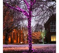 Guirlande Lumineuse Raccordable Couleur et Longueur au Choix - Transformateur Prise Européeene Inclus - Qualité Professionnelle - Usage Intérieur et Extérieur (Violet, 30 mètres)