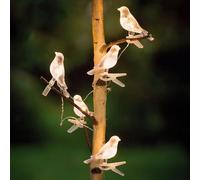 Guirlande lumineuse solaire à DEL à clipser avec 5 oiseaux LED à clipser pour jardin, arbre, clôture, balcon, décoration de balcon, guirlande lumineuse décorative étanche blanc chaud avec piquet de