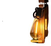 Guirlande lumineuse solaire LED, avec télécommande, luminosité réglable, 15,5 mètres, 40 ampoules