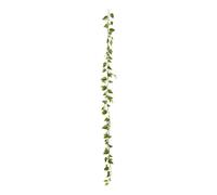 Guirlande Pothos Artificiel Bellan 180cm Vert