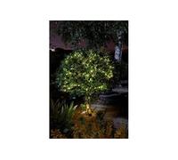 Guirlande solaire e térieure LUCIOLE 200 leds chaud 21.9m Blanc