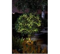 Smart Garden Products Guirlande solaire Luciole SMARDTV 100 leds 11,9 m Blanc chaud