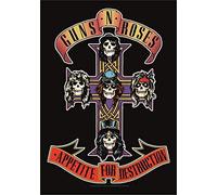 Guns N Roses appétit pour la destruction Poster 11x17inch 28x43cm