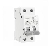 GVBAEPIEO Disjoncteur magnétique GYR9NM AC Type 2P 4P, avec Protection Contre Les surintensités et fuites, Rail Din 10A 16A 25A 32A 40A, 1 pièce(2P 32A,300mA)