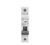 GVBAEPIEO Mini disjoncteur monophasé GYM9-125 DC MCB, 80A 100A 125A 1P, Largeur du 17.8mm, 250VDC 6KA, 1 pièce(80A)