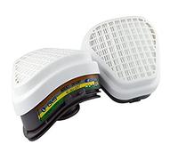GVS Filter Technology SPR492 Paire de filtres de rechange ABEK1P3 pour plusieurs gaz, vapeurs et poussières Gris/Blanc