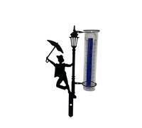 GVZUGM Pluviomètre en Fer pour Jardin | Jauge de pluie en métal for l'extérieur, tube à essai, collecteur d'eau de pluie, enfichable, for l'extérieur