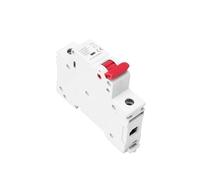 GYM10 1P 6KA AC MCB Din Rail 220V 400V Circuit Breaker 6A-63A BIANMTSW(63A)