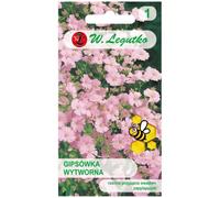 Gypsophile rose