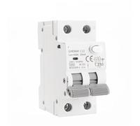 GYR9NM Type AC magnétique avec Protection contre les surintensités et fuites Rail Din 10A 16A 25A 32A 40A 1 pièces(2P 16A,30mA)
