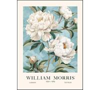 GYTRI CGFHJ Affiche William Morris Image murale moderne 《Fleur de pivoine blanche》 par William Morris Peinture en couleur sur toile pour la décoration intérieure 30x40cm Non encadrée