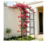 H: 240cm Arche De Jardin Demi-Côté Arche À Rosiers Demi-Latérale Support Pergola Décorative Treillis Tuteur Plantes Grimpantes Revêtu De PE pour Décoration De Cour(W270cm*240cm)