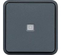 cubyko BP 1O/1F lum. ass. gris HAGER WNA021