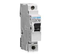 hager Hager Disjoncteur unipolaire B-10A, 25kA MB197 Quantité:1