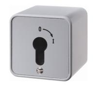 hager Hager Interrupteur à clé en saillie WDE4466 Profil-H Quantité:1