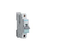 Hager MB199 B-type 1P 1module(s) Coupe-circuit (MB199)
