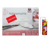 Hahnemühle Expression Bloc aquarelle 20 feuilles 300 gr,24 x 30cm 100% coton,Moulin du coq made in Germany