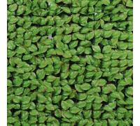 Haie artificielle feuilles de rosier + 12 attaches - 1,00mx3m JET7GARDEN