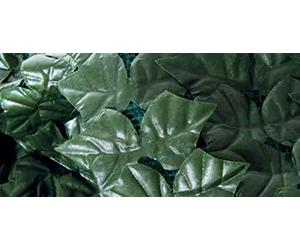 Haie Laurel C/fil 150 x 300 cm.