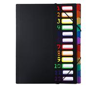 HAKIDZEL Organiseur de Dossiers Plastique A4 Multi-niveaux Pages de Tri Colorées, Résistant, pour Bureau et Voyage D'affaires