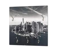 HAKU garderobe Murale Optique INOX, Motif, MDF, métal - Dim.: L 60 cm x H 60 cm x P 8 cm, Style: Modern