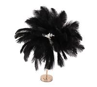 Halearo Lampe en Plumes D'autruche Rechargeable, Design Moderne, Interrupteur Tactile, Décoration de la Maison, Salle D'étude, 55cm (Noire)