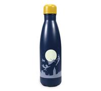 Half Moon Bay Bouteille d'eau Peter Pan en métal | Bouteille d'eau en acier inoxydable pour enfants et adultes | Cadeaux Disney et cadeau Peter Pan | Bouteille d'eau en acier inoxydable pour enfants