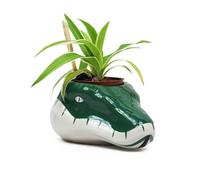 Half Moon Bay Harry Potter Pots de Fleurs Serpentard Pot de Fleurs Harry Potter
