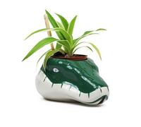 Half Moon Bay Harry Potter Pots de Fleurs Serpentard Pot de Fleurs Harry Potter
