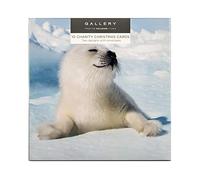 Hallmark Boîte de 10 cartes de Noël - 2 motifs photographiques d’animaux polaires