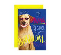 Hallmark Carte d'anniversaire - Photographie drôle de chien souriant