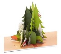 Hallmark Carte d'anniversaire pop-up 3D pour lui (Adventure Awaits) Signature Paper Wonder