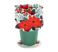 Hallmark Carte de Noël pop-up traditionnelle 3D Motif poinsettias rouge