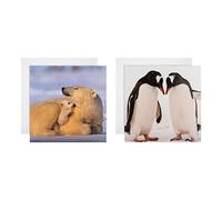 Hallmark Lot de 16 cartes de Noël en 2 motifs National Geographic 25572277