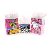 Hallmark Lot de 3 grands sacs cadeaux d'anniversaire assortis avec cartes et papier de soie Assorted Birthday Superstar Cat