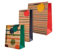 Hallmark Lot de sacs cadeaux et sacs pour bouteille multi-occasions - 1 sac cadeau grand et 1 sac cadeau moyen, avec 1 sac à bouteille en 3 motifs contemporains
