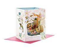 Hallmark Paper Wonder Carte d'anniversaire pop-up pour femme (beau jour)