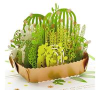 Hallmark Signature Paper Wonder Carte pop-up d'amitié, de remerciement ou d'anniversaire pour plantes grasses
